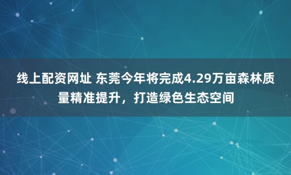 线上配资网址 东莞今年将完成4.29万亩森林质量精准提升，打造绿色生态空间